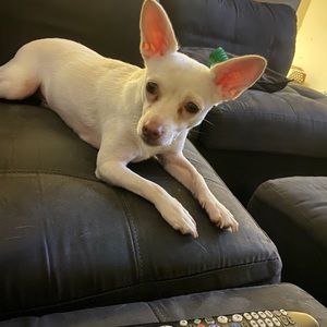 Meet your Posher, Omaria